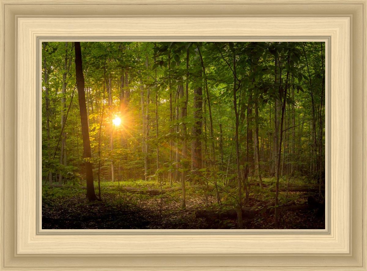 Suddenly A Light Descended