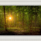 Suddenly A Light Descended