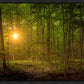 Suddenly A Light Descended
