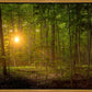 Suddenly A Light Descended