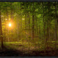 Suddenly A Light Descended