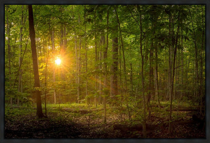 Suddenly A Light Descended