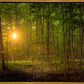 Suddenly A Light Descended