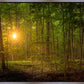 Suddenly A Light Descended