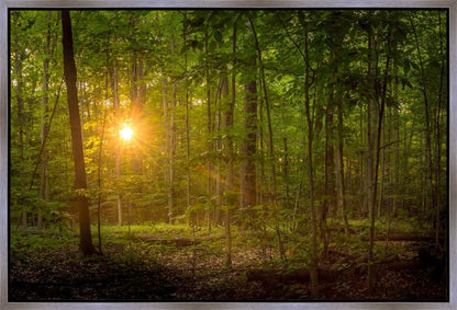 Suddenly A Light Descended