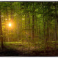Suddenly A Light Descended