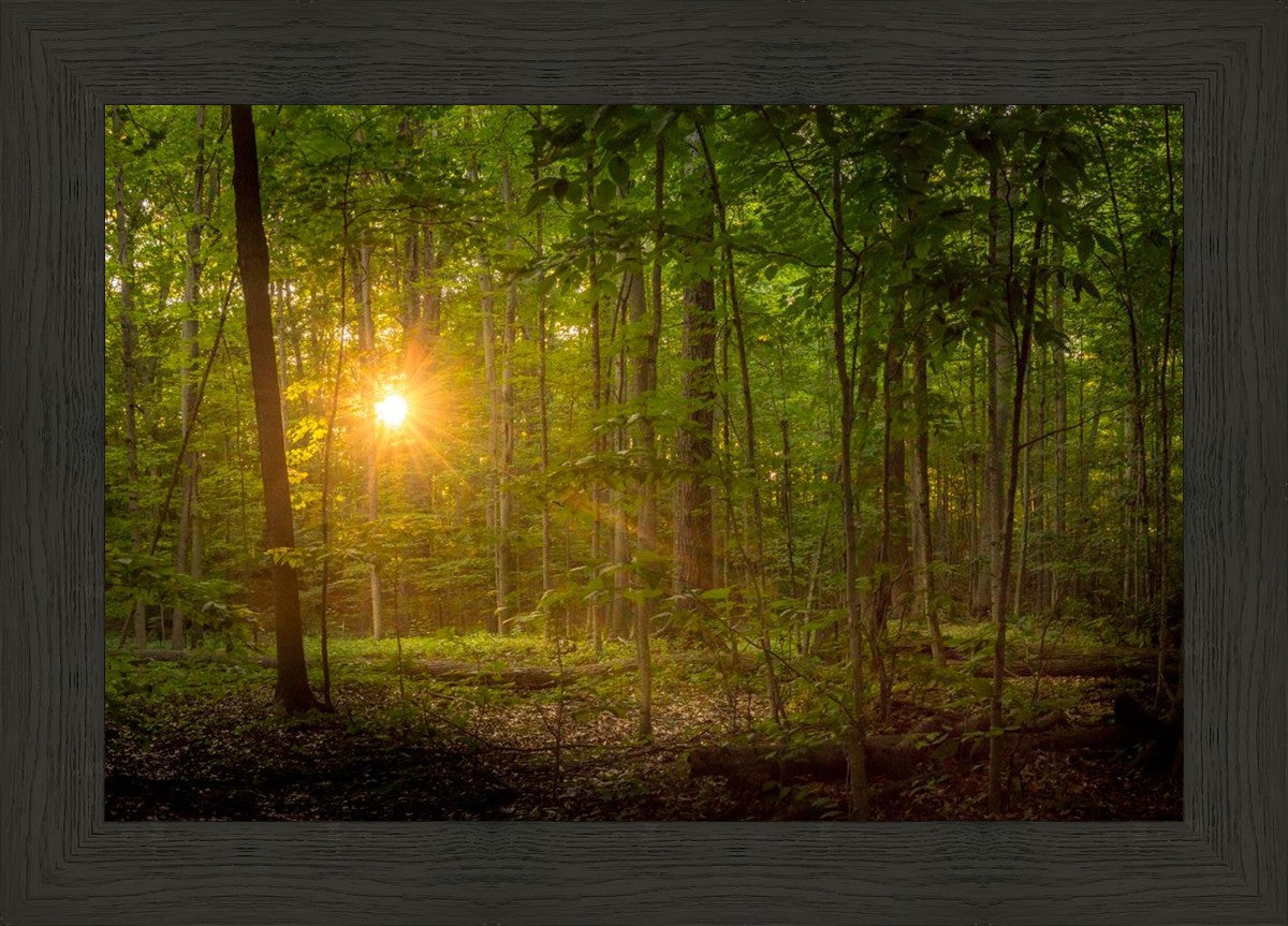 Suddenly A Light Descended