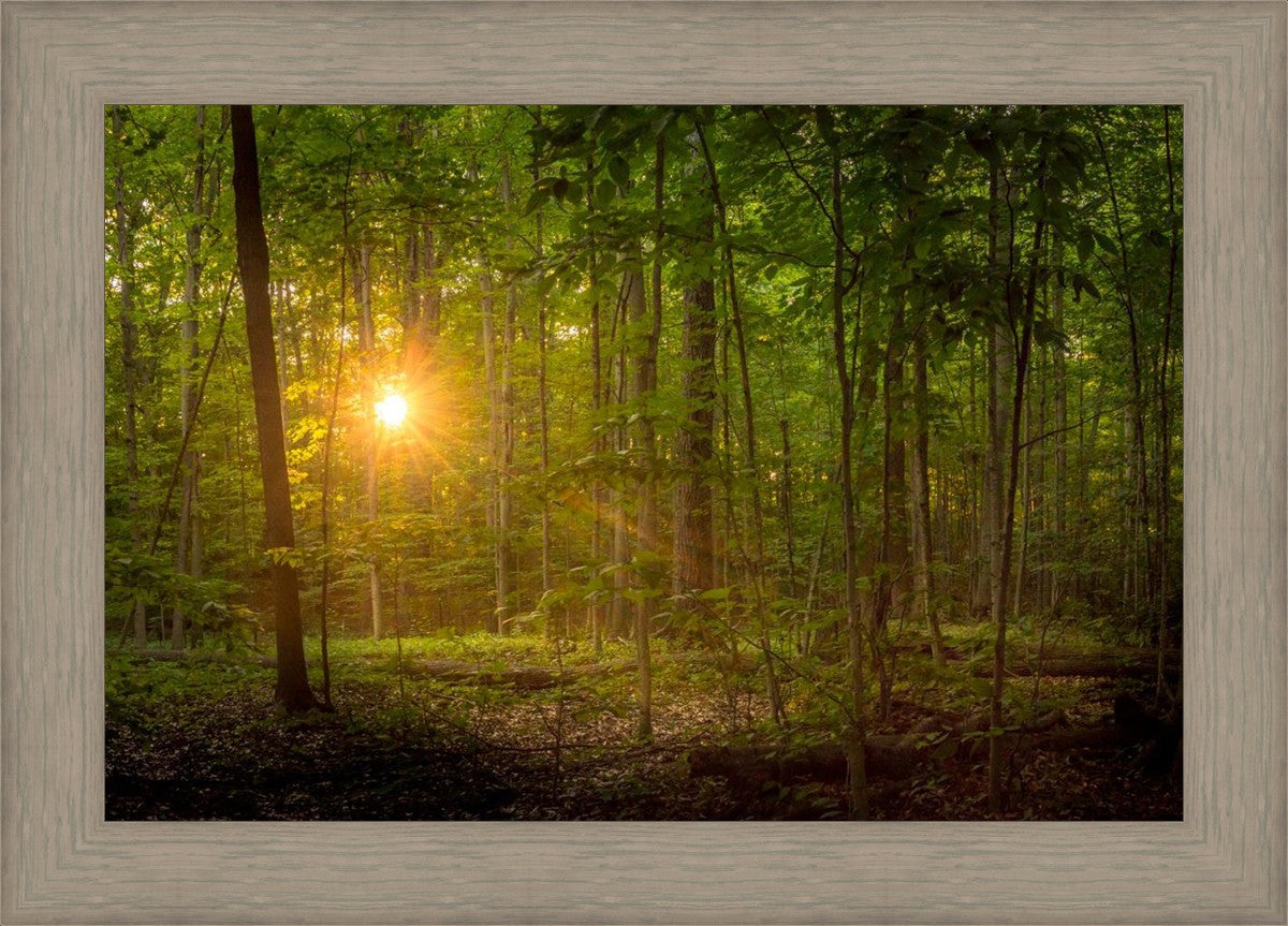 Suddenly A Light Descended