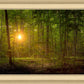 Suddenly A Light Descended