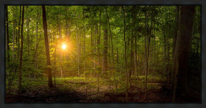 Suddenly A Light Descended