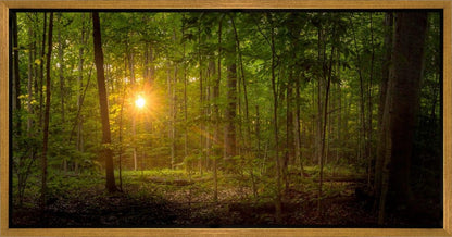 Suddenly A Light Descended