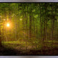 Suddenly A Light Descended