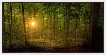 Suddenly A Light Descended