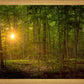 Suddenly A Light Descended