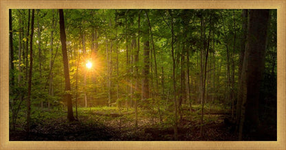 Suddenly A Light Descended