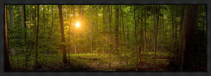 Suddenly A Light Descended