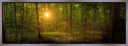 Suddenly A Light Descended