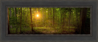 Suddenly A Light Descended