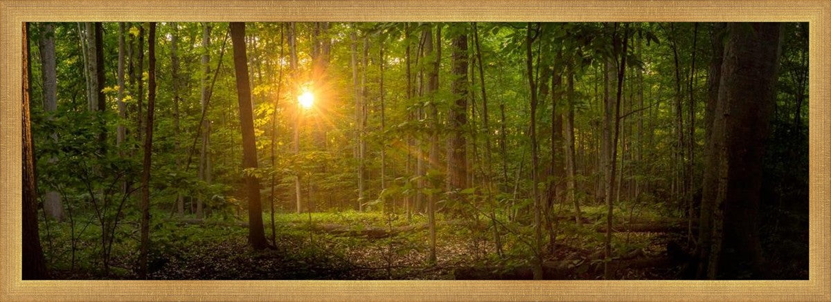 Suddenly A Light Descended