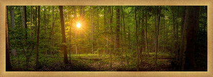 Suddenly A Light Descended