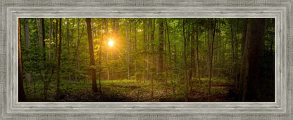 Suddenly A Light Descended