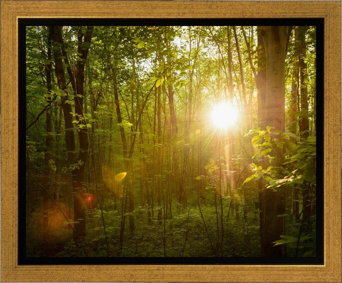 The Morning Breaks Gallery Wrap