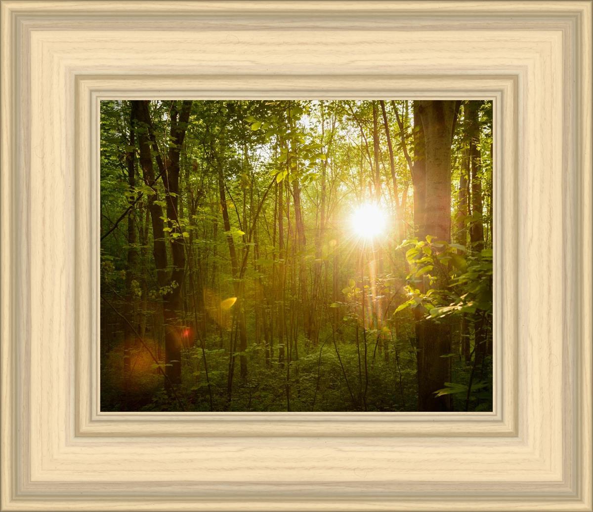 The Morning Breaks