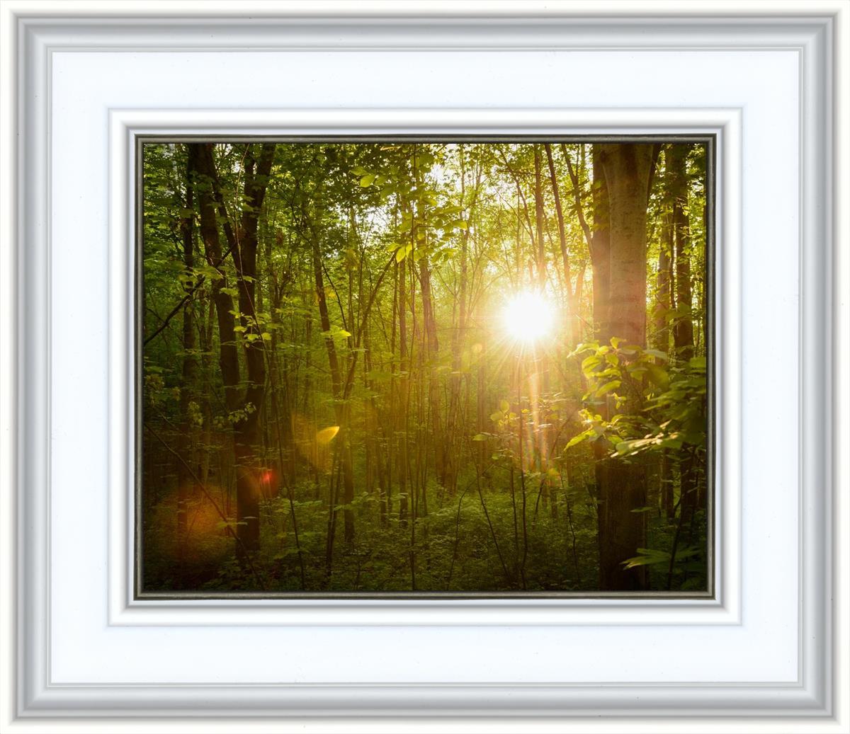 The Morning Breaks