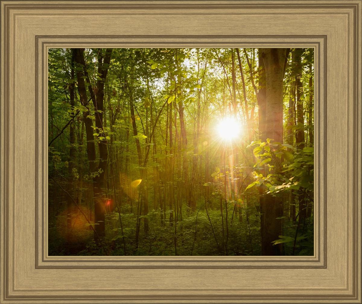 The Morning Breaks