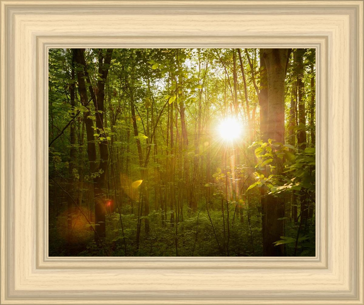 The Morning Breaks