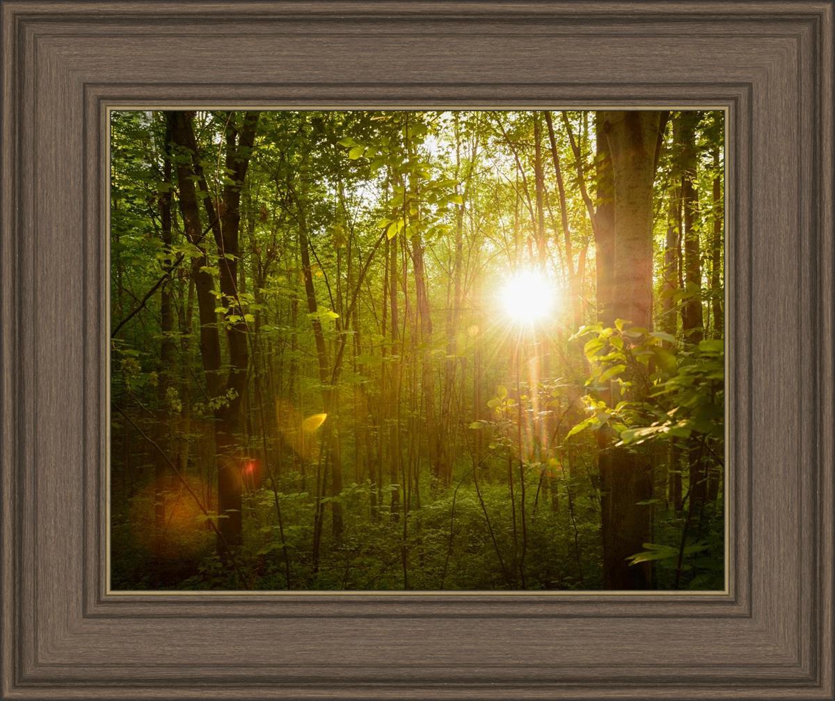 The Morning Breaks