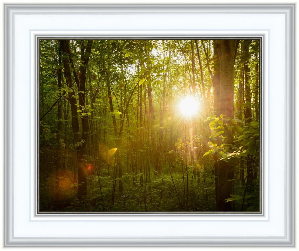 The Morning Breaks