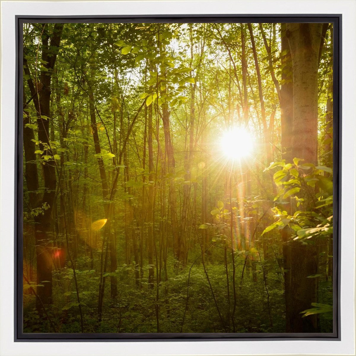 The Morning Breaks Gallery Wrap