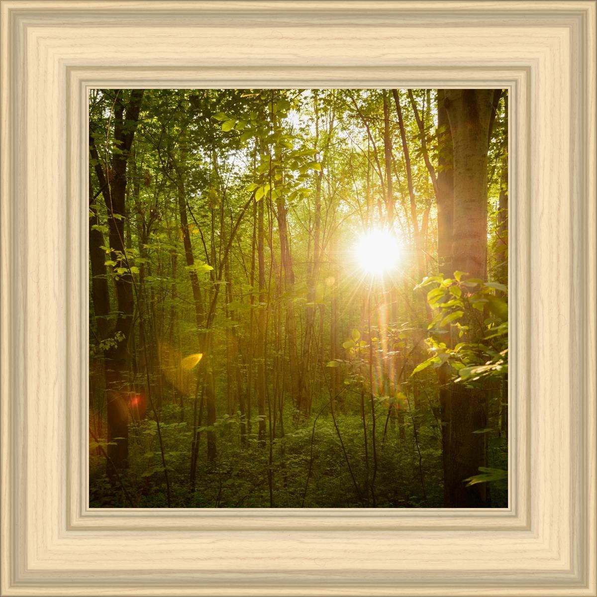 The Morning Breaks