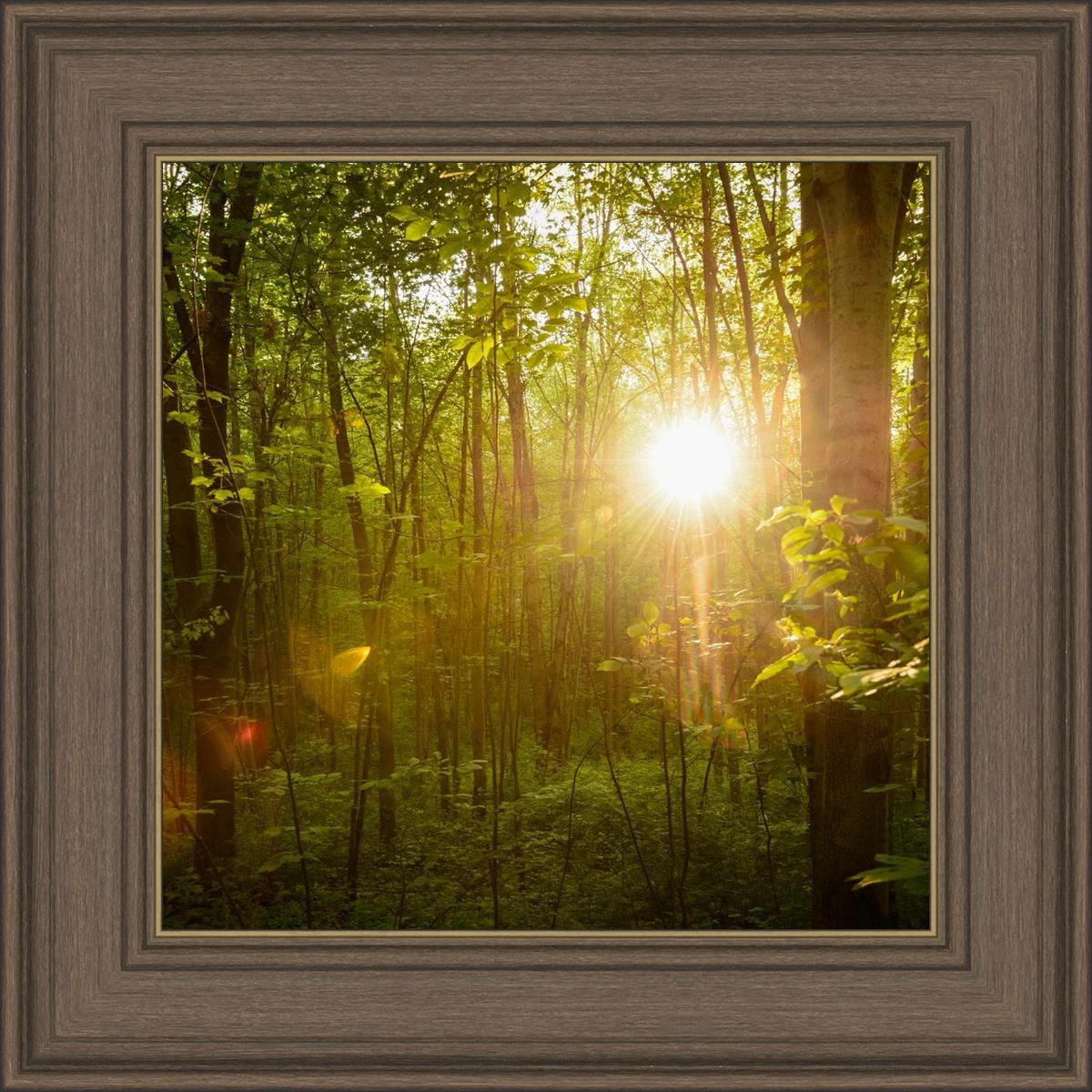 The Morning Breaks
