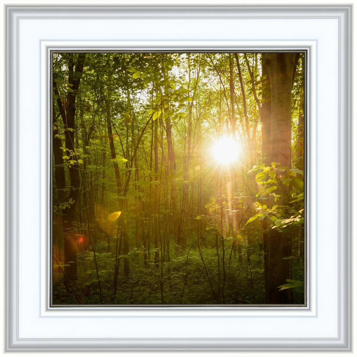 The Morning Breaks