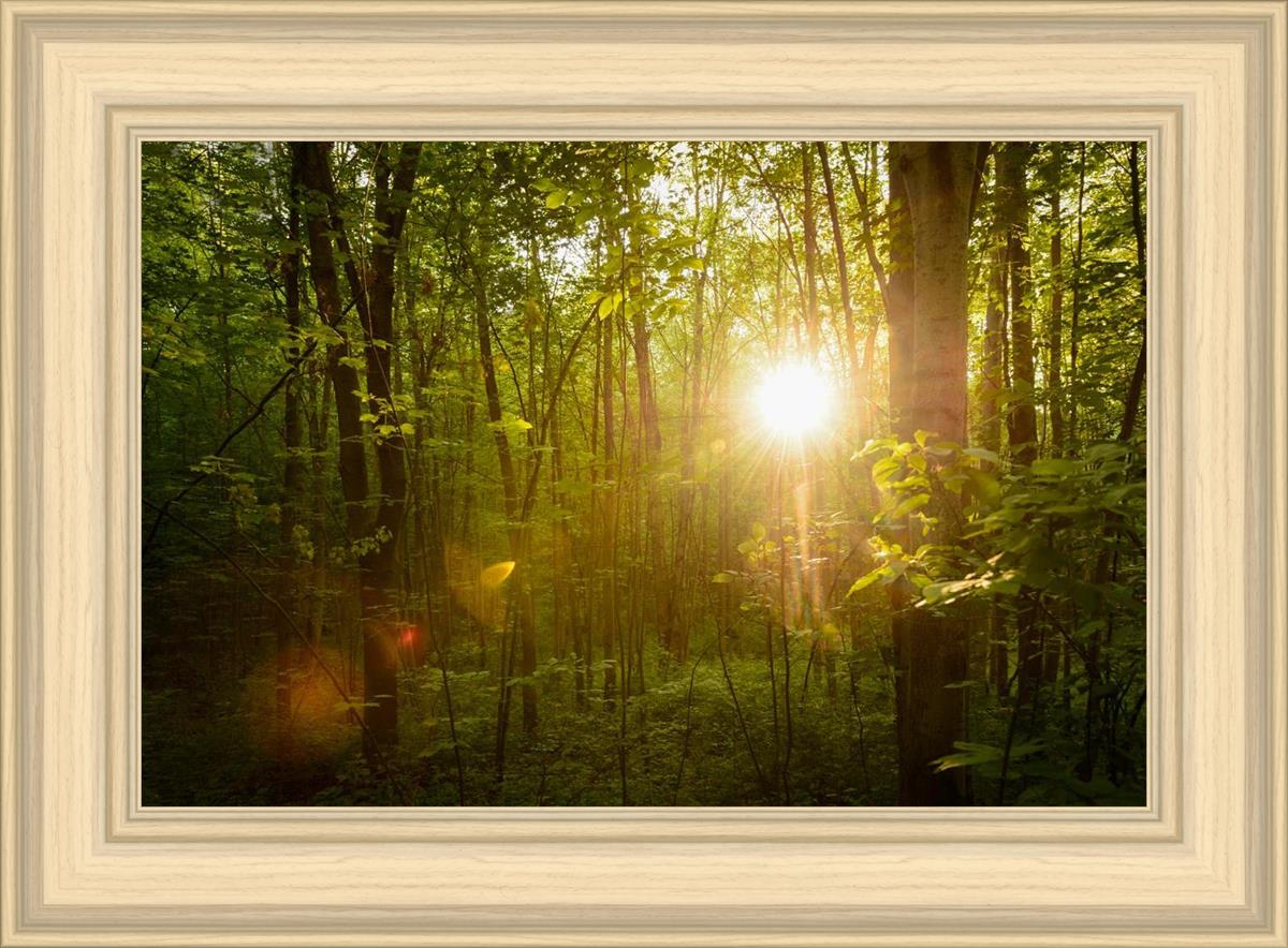 The Morning Breaks