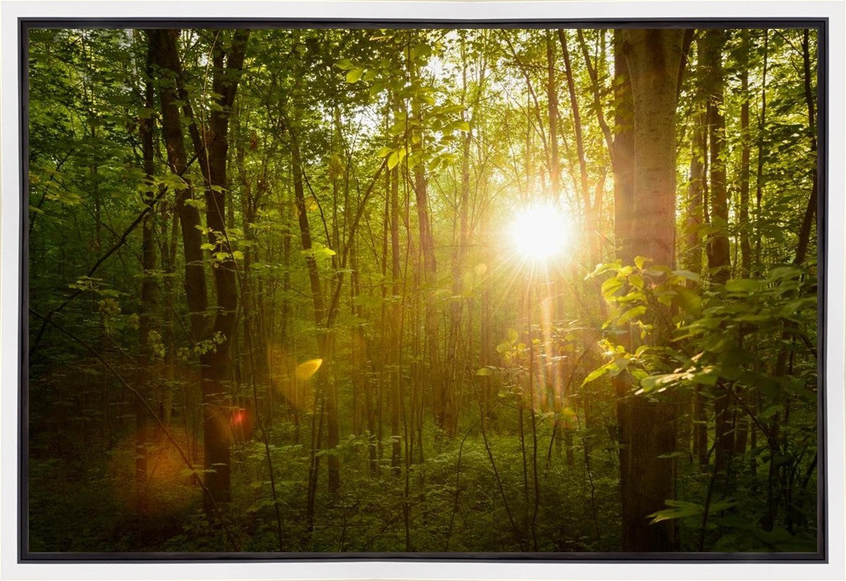 The Morning Breaks Gallery Wrap