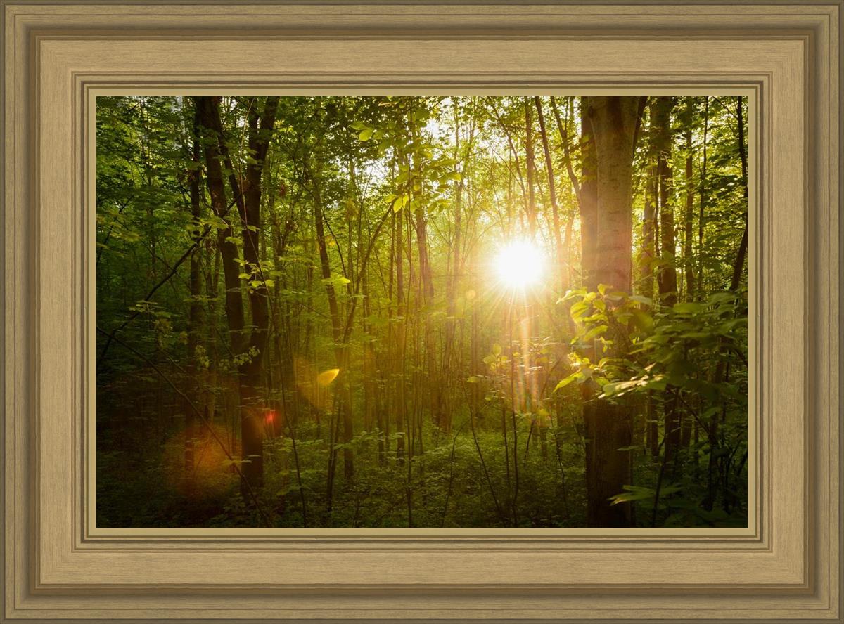 The Morning Breaks