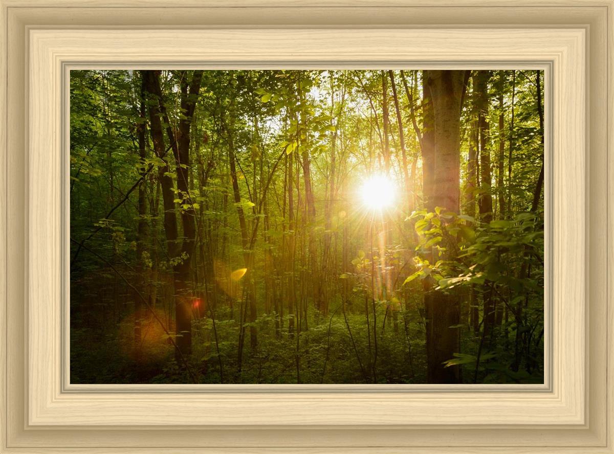 The Morning Breaks