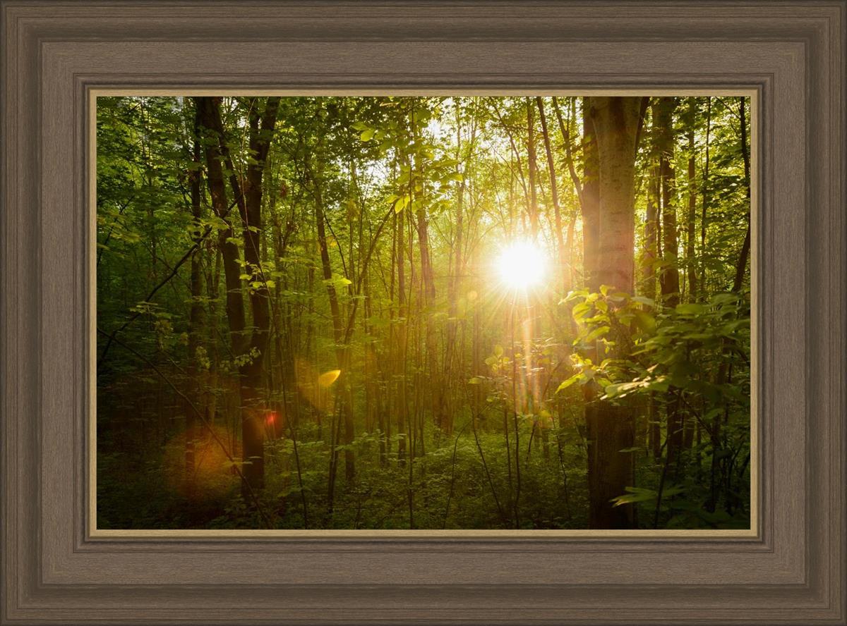 The Morning Breaks