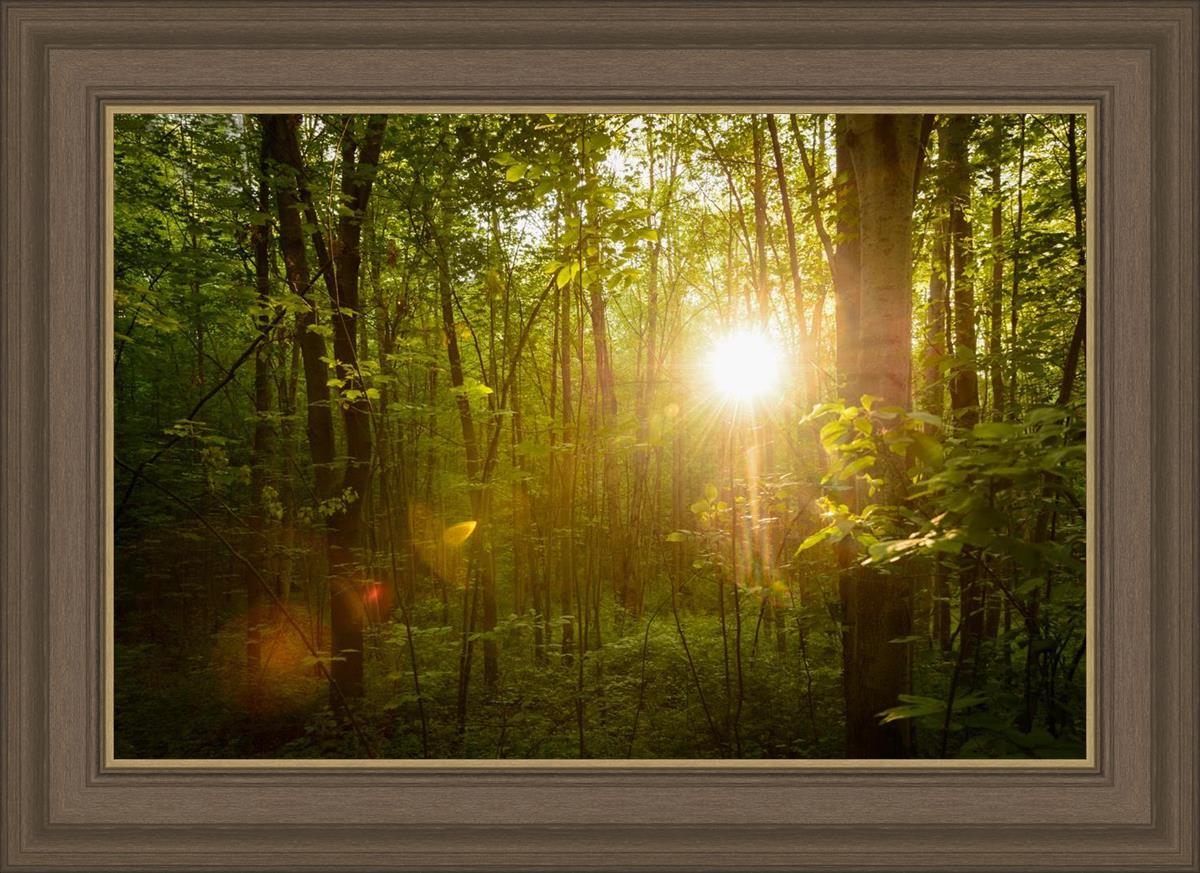 The Morning Breaks