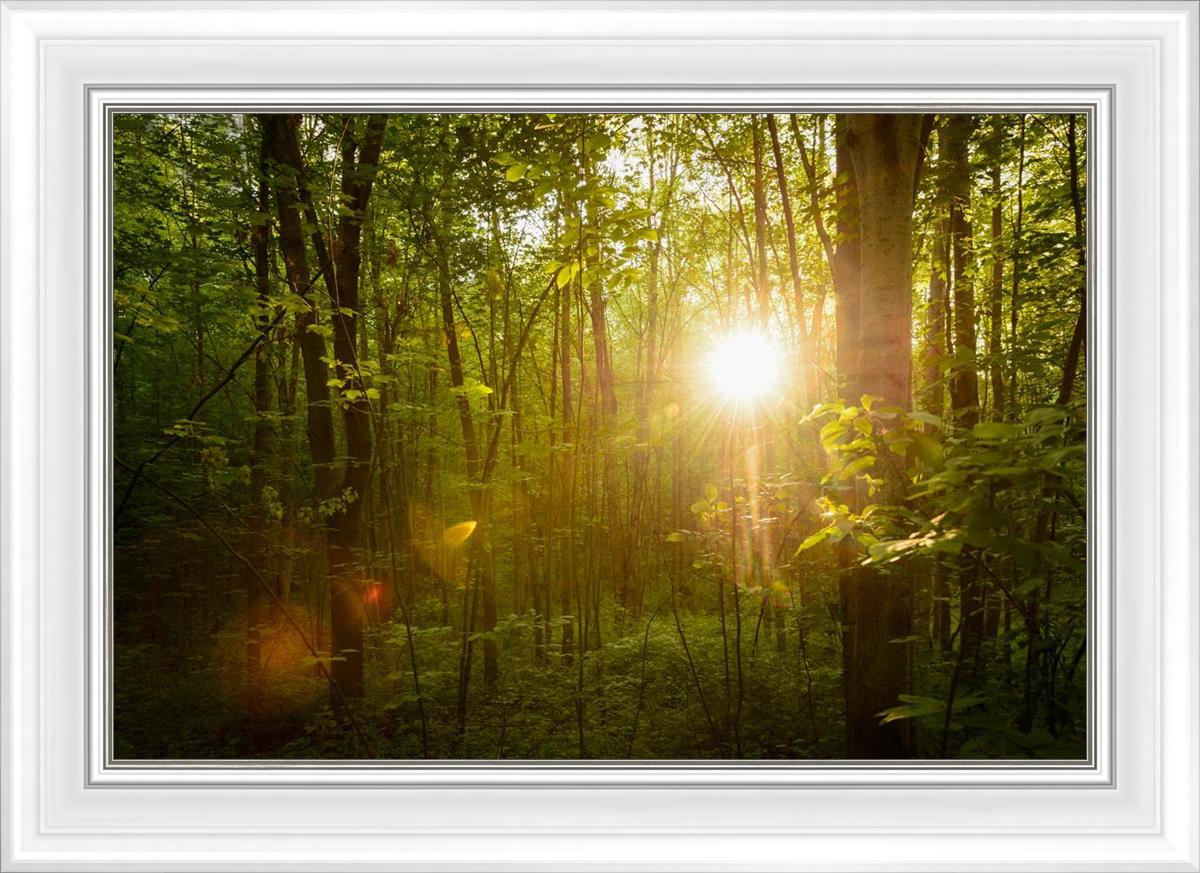 The Morning Breaks
