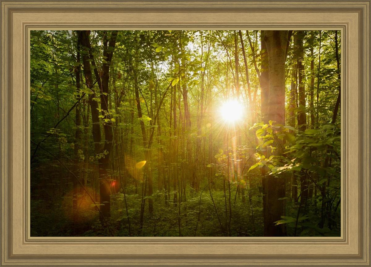 The Morning Breaks