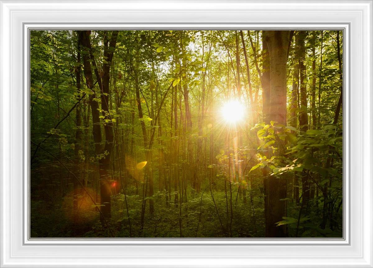 The Morning Breaks