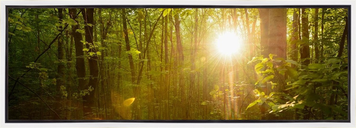 The Morning Breaks Gallery Wrap