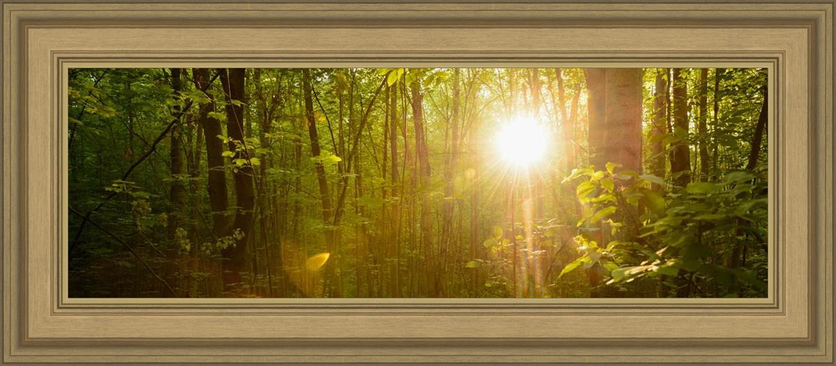 The Morning Breaks
