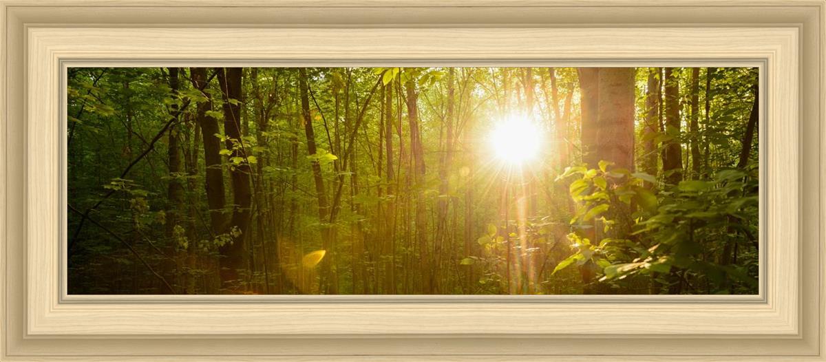 The Morning Breaks