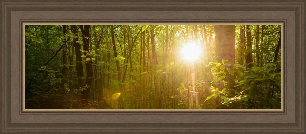 The Morning Breaks
