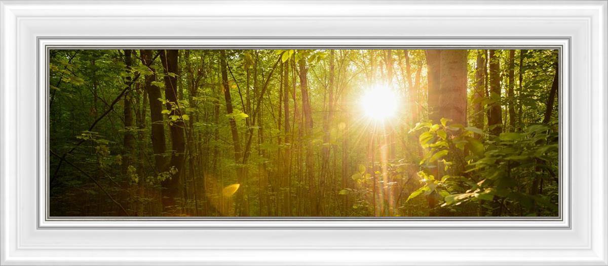 The Morning Breaks